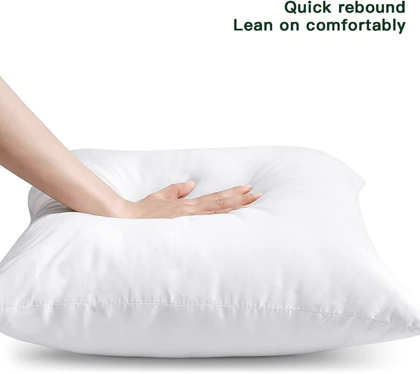 Cushion Filler 24x24 Inches