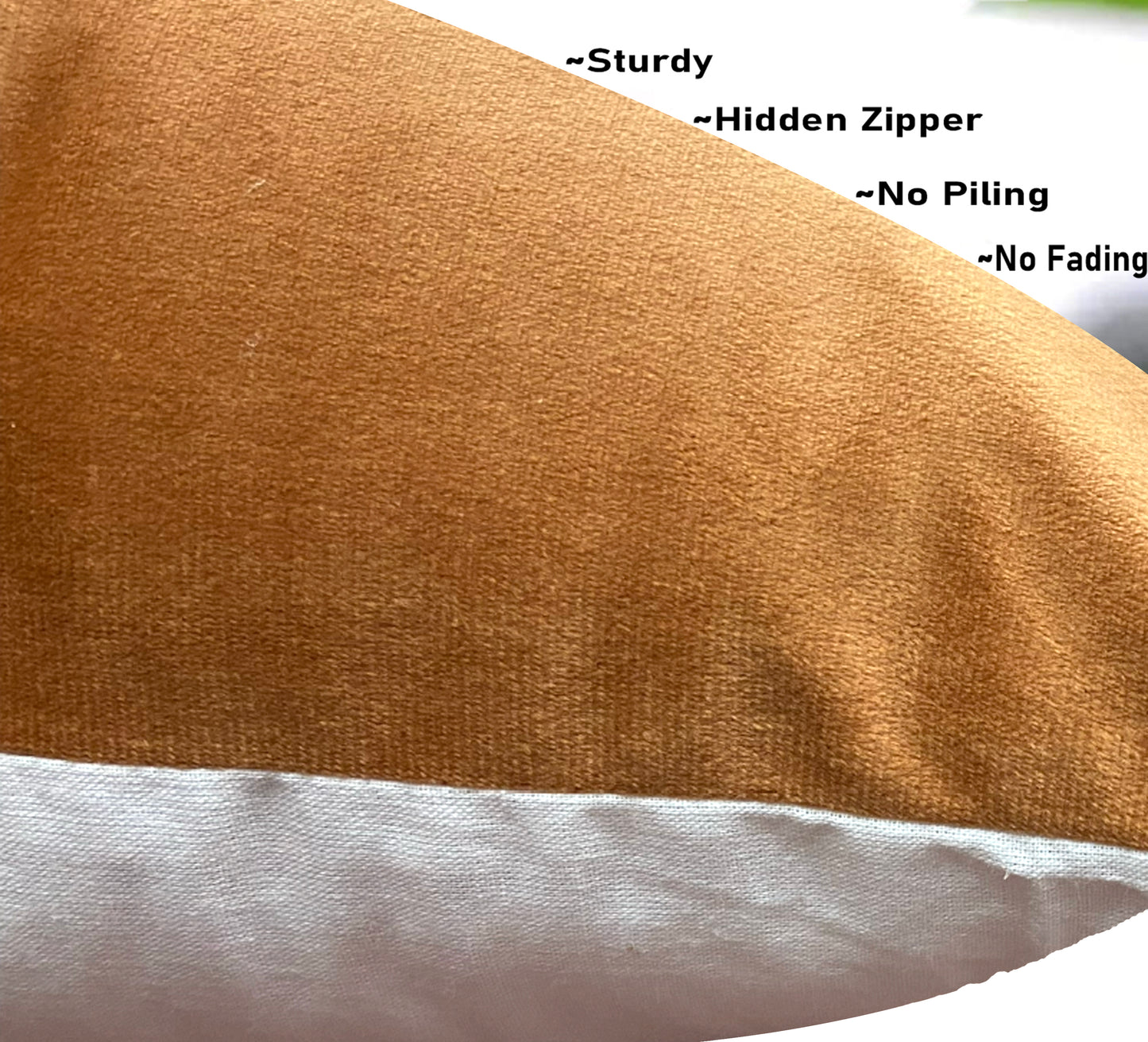 Light Orange Cushion Cover 18"x18" (Pack of 2)